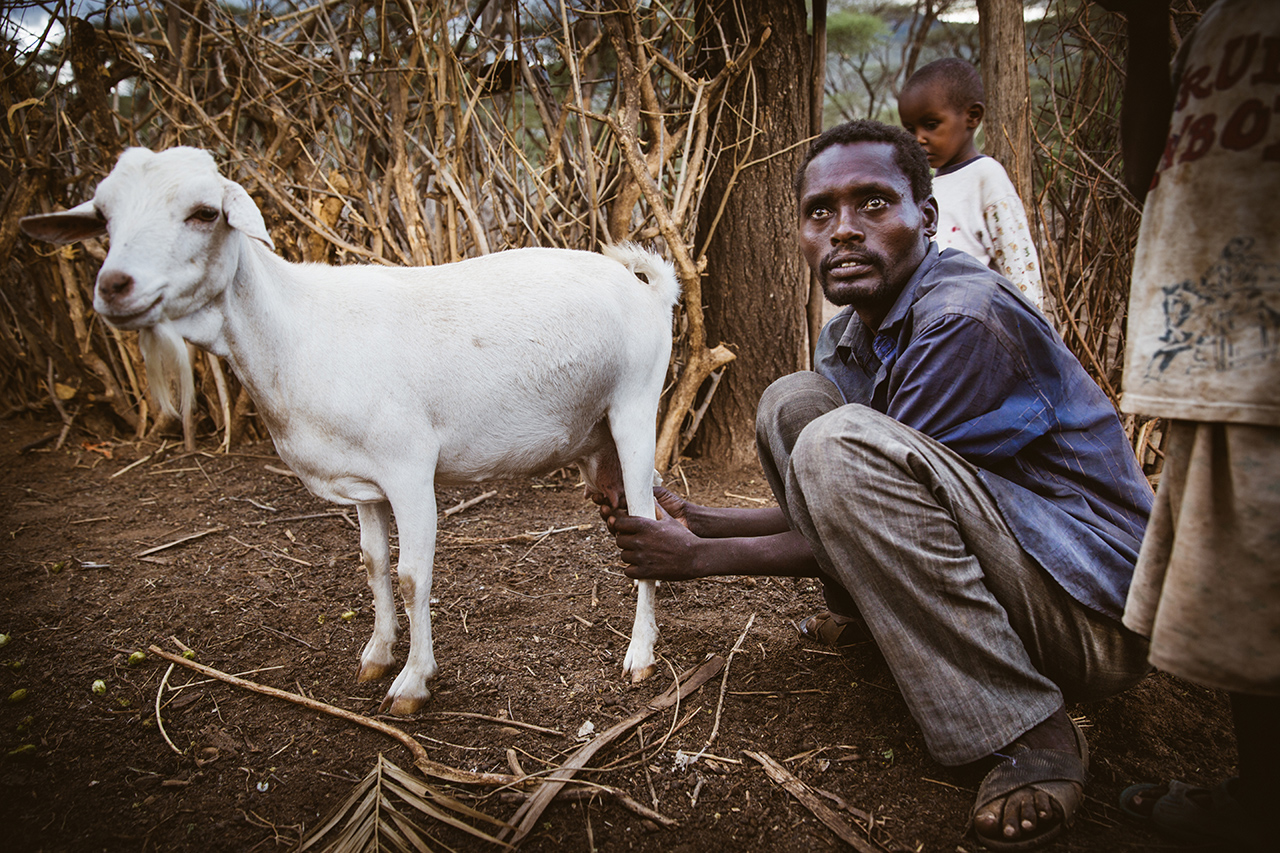 Kurungu, Kenya