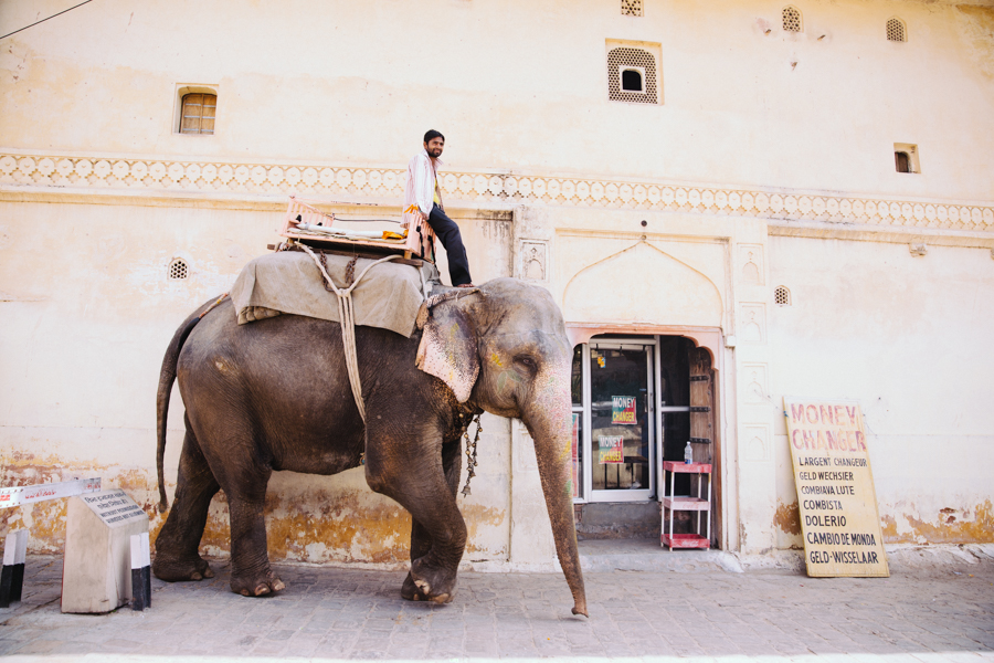 Jaipur-1299