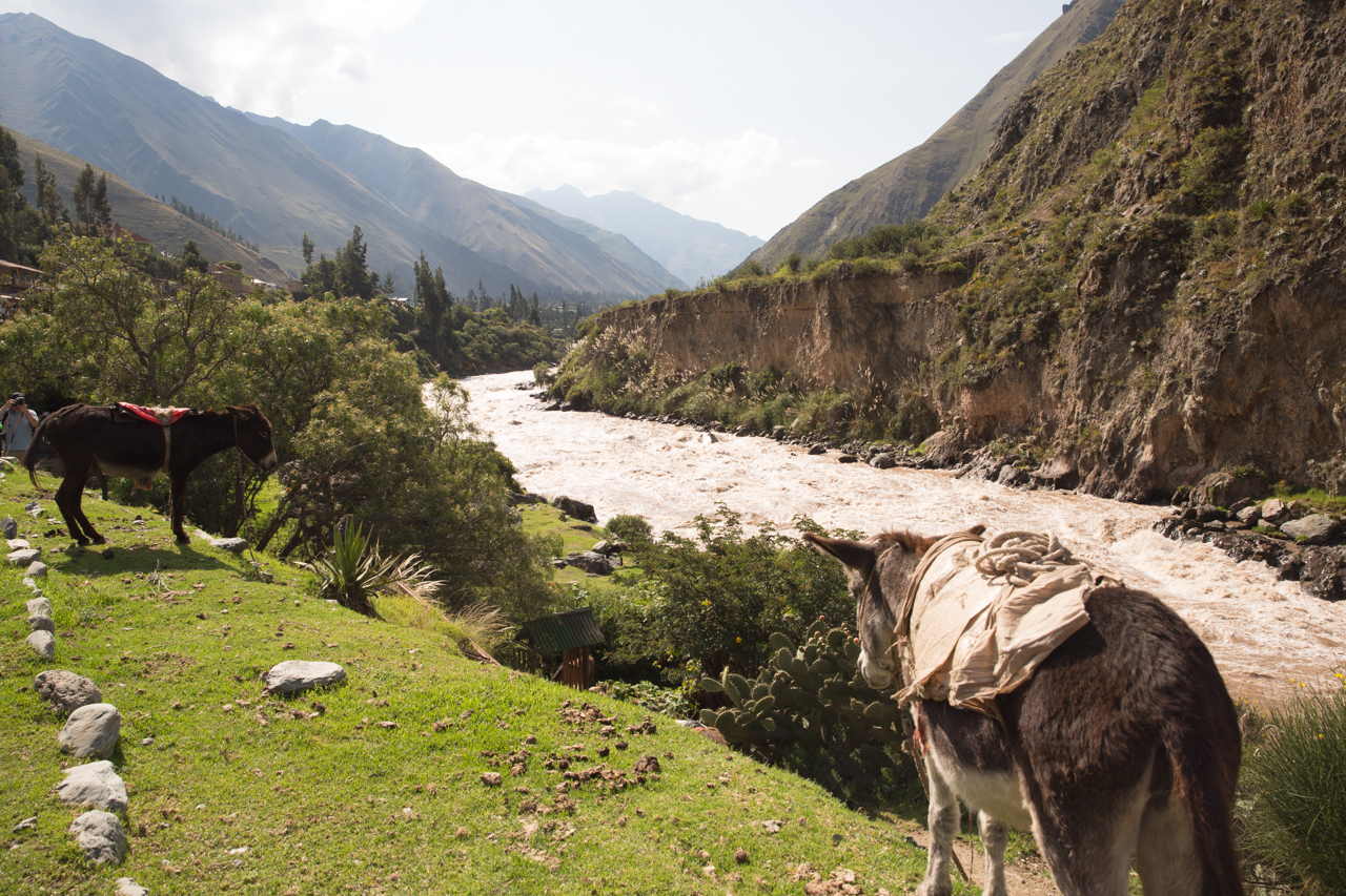 Inca Day 1-0430