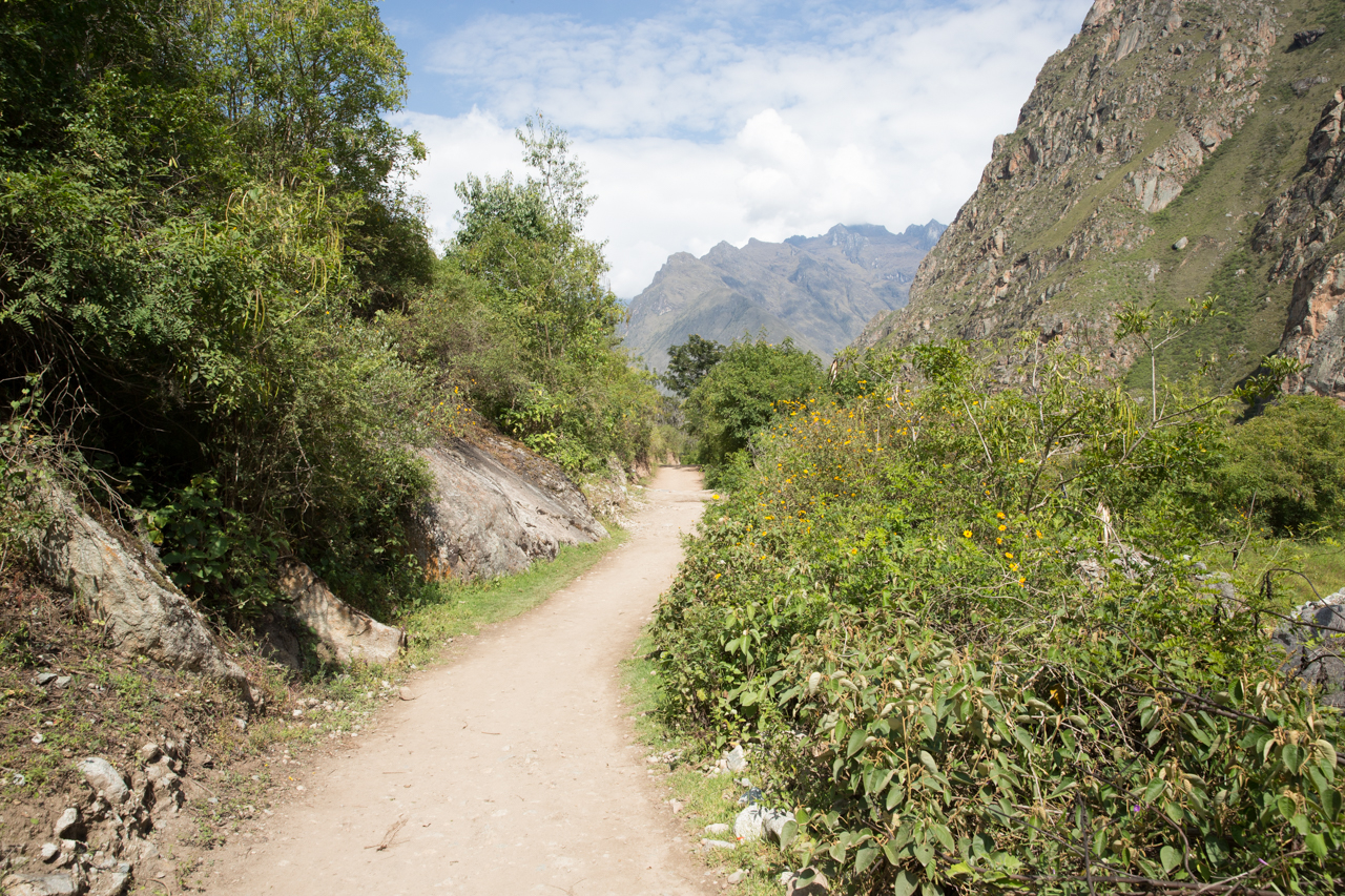 Inca Day 1-0439