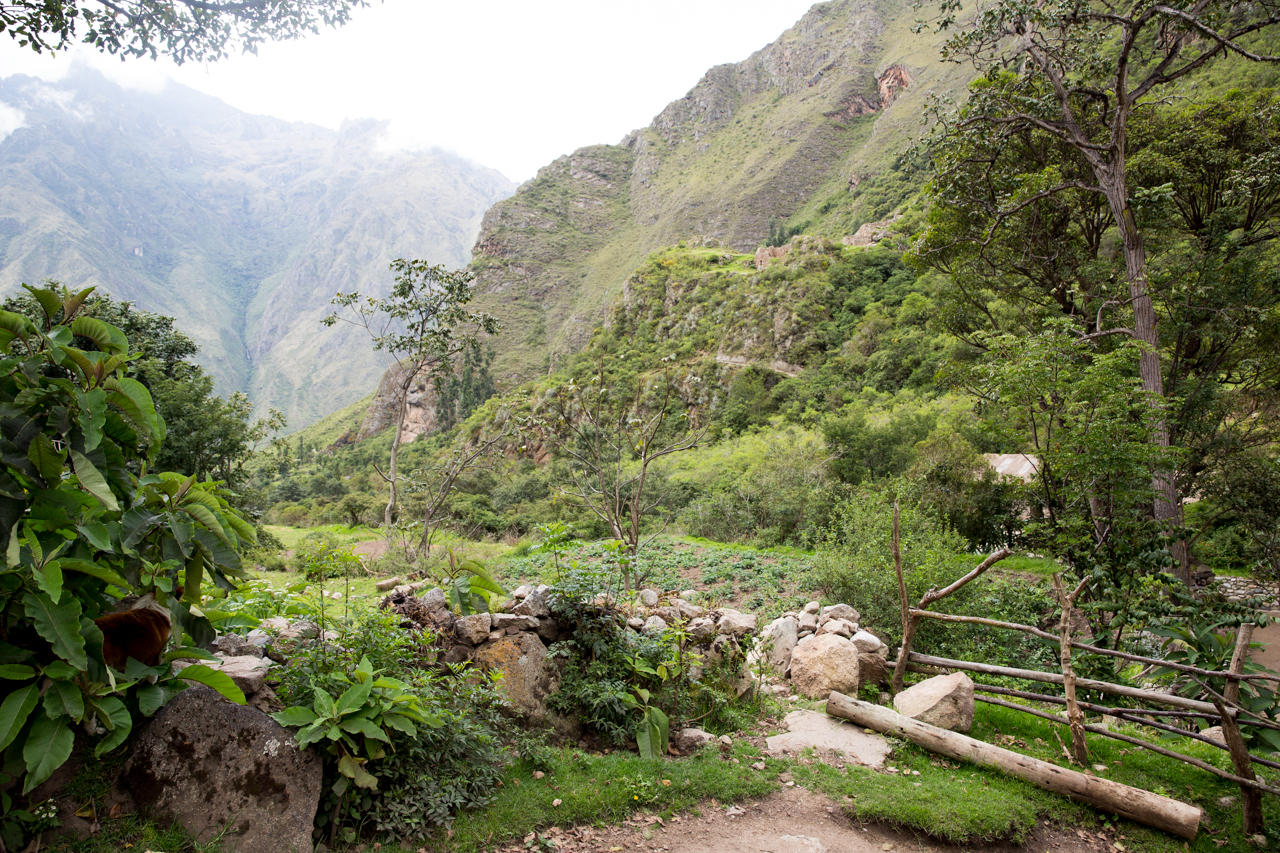 Inca Day 1-0553