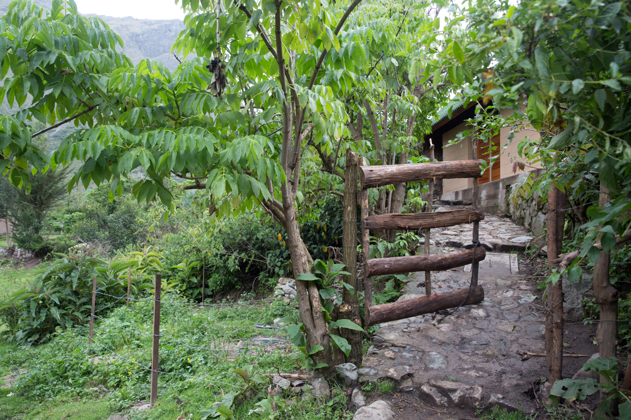 Inca Day 1-0586