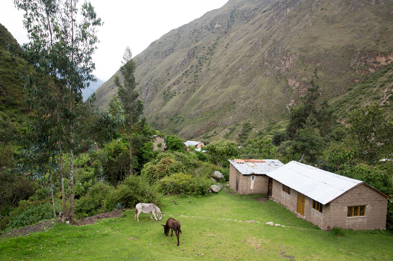 Inca Day 1-0591