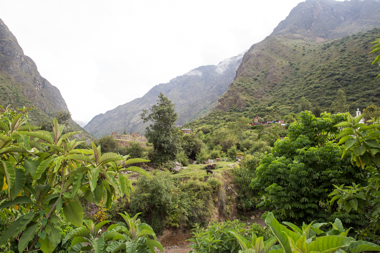 Inca Day 1-0614