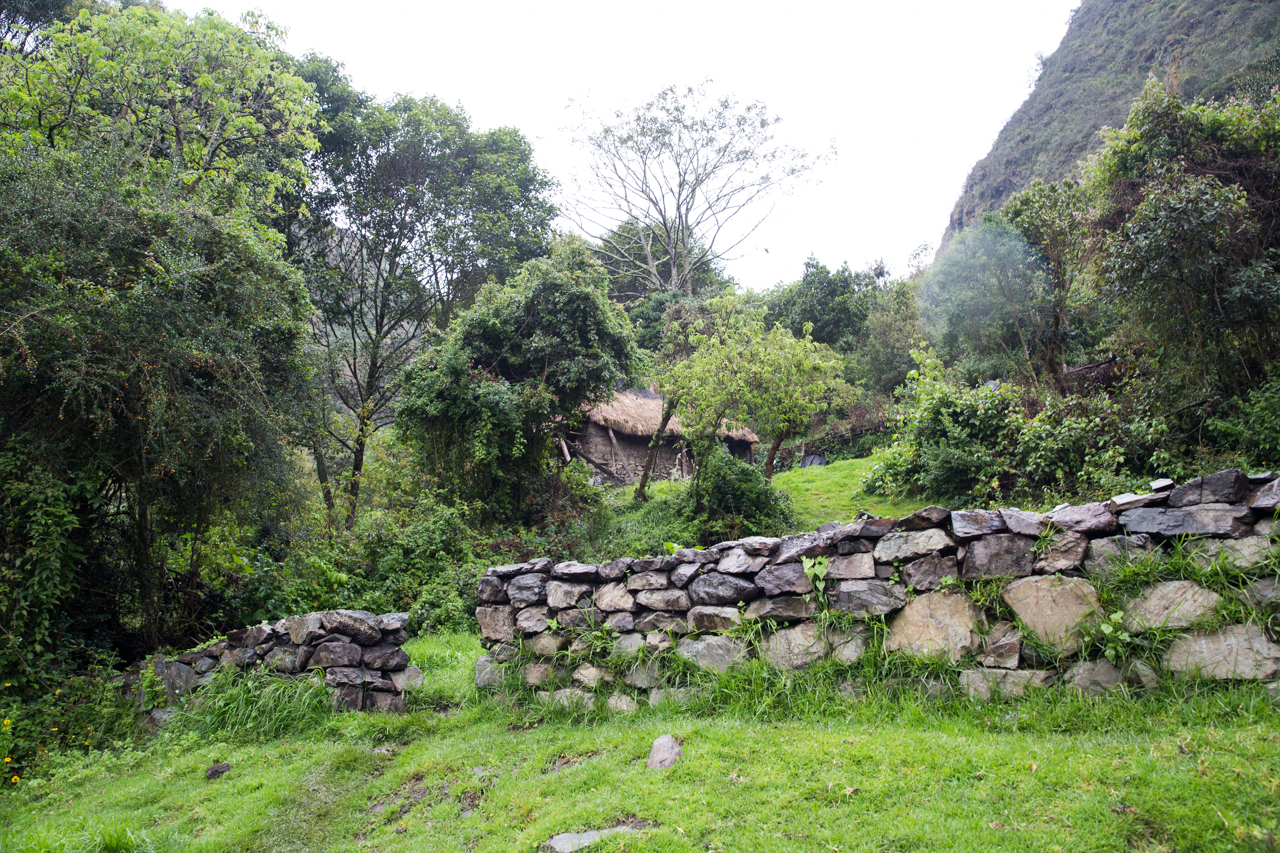 Inca Day 2-0633