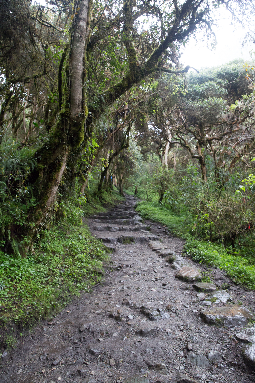 Inca Day 2-0643