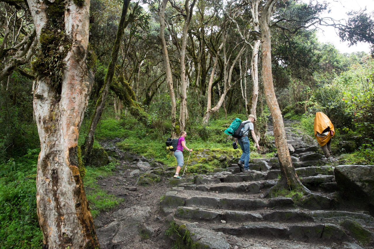 Inca Day 2-0649