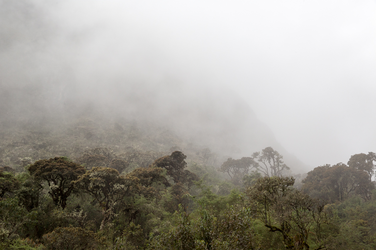 Inca Day 2-0695