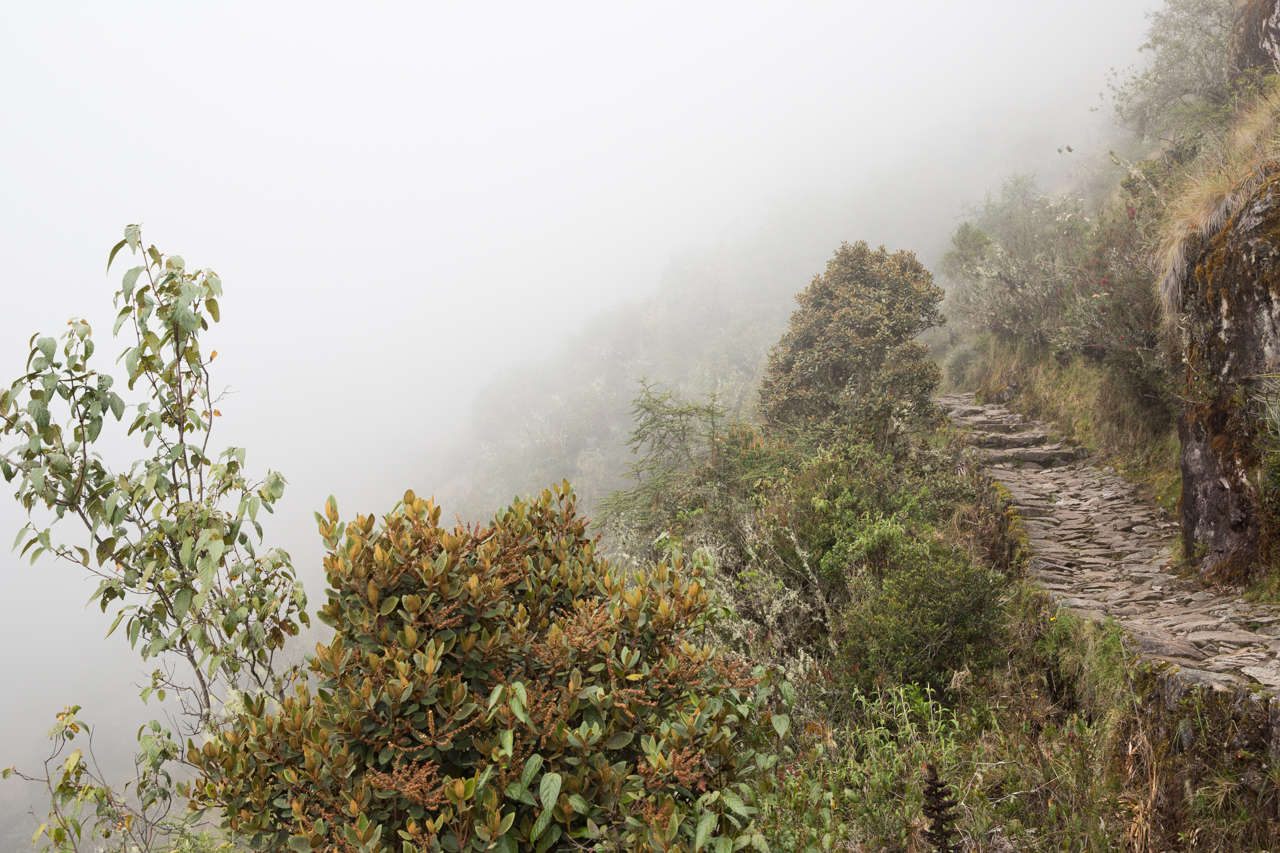 Inca Day 3-0715