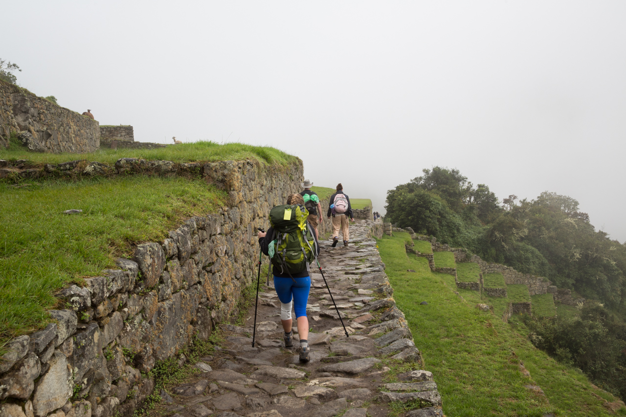 Machu Picchu-0779