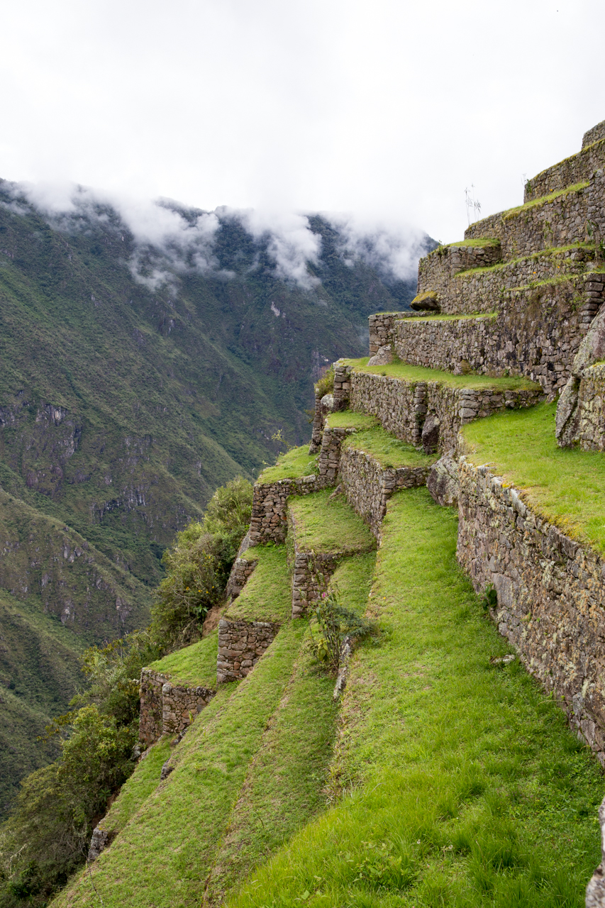 Machu Picchu-0833