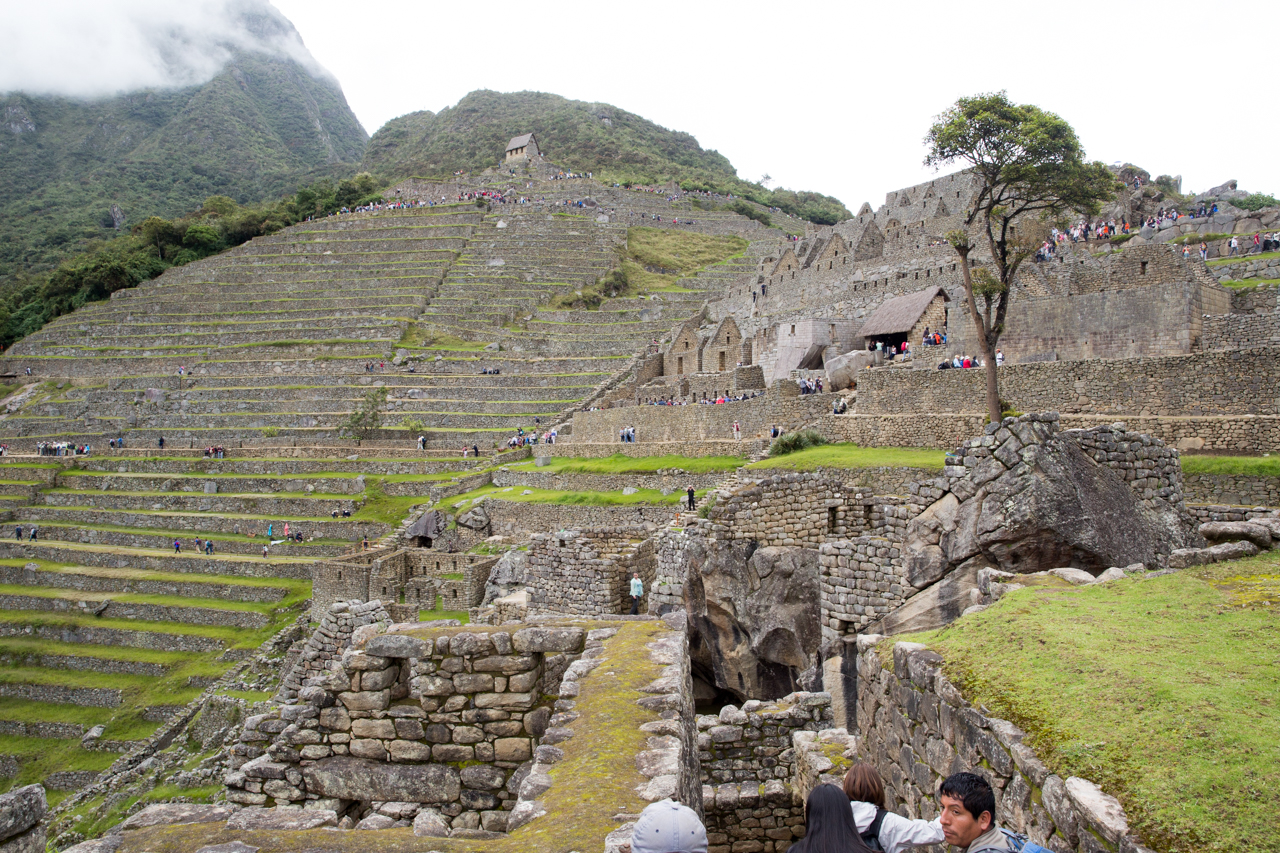 Machu Picchu-0867