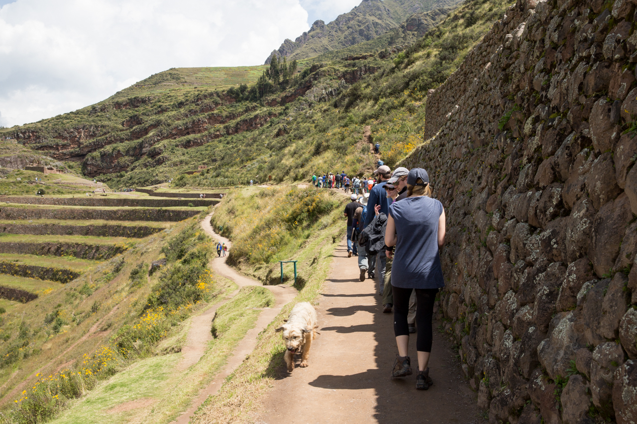 pisac-0277