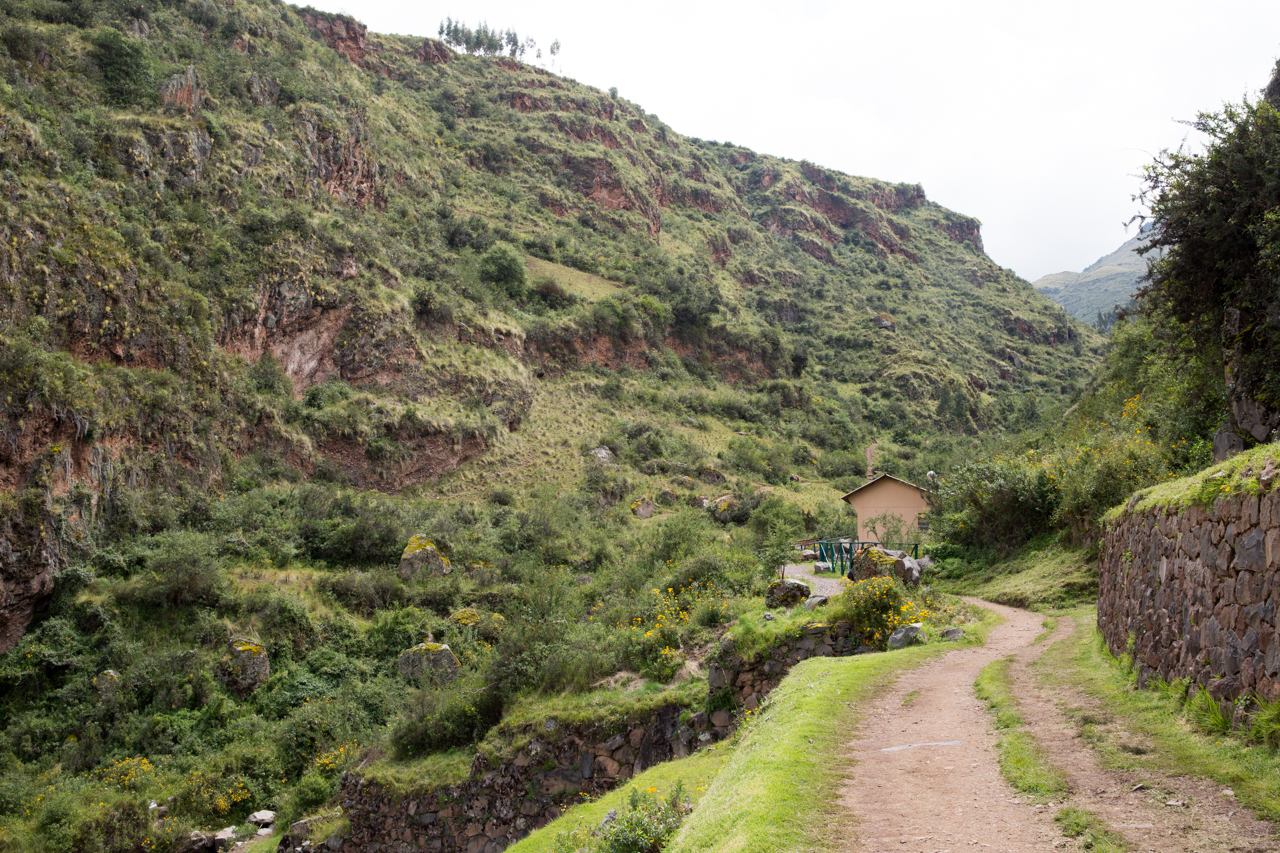 pisac-0298