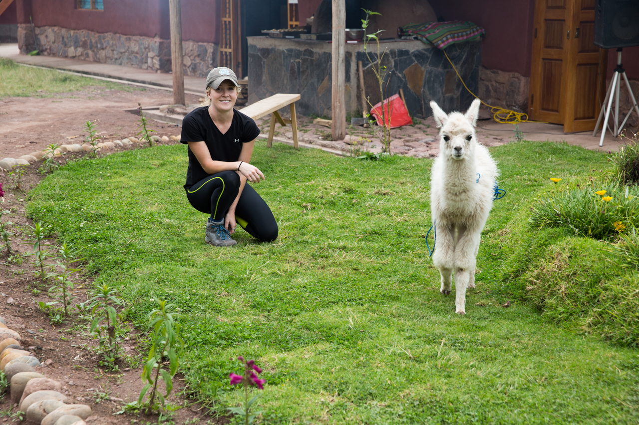 pisac-0325