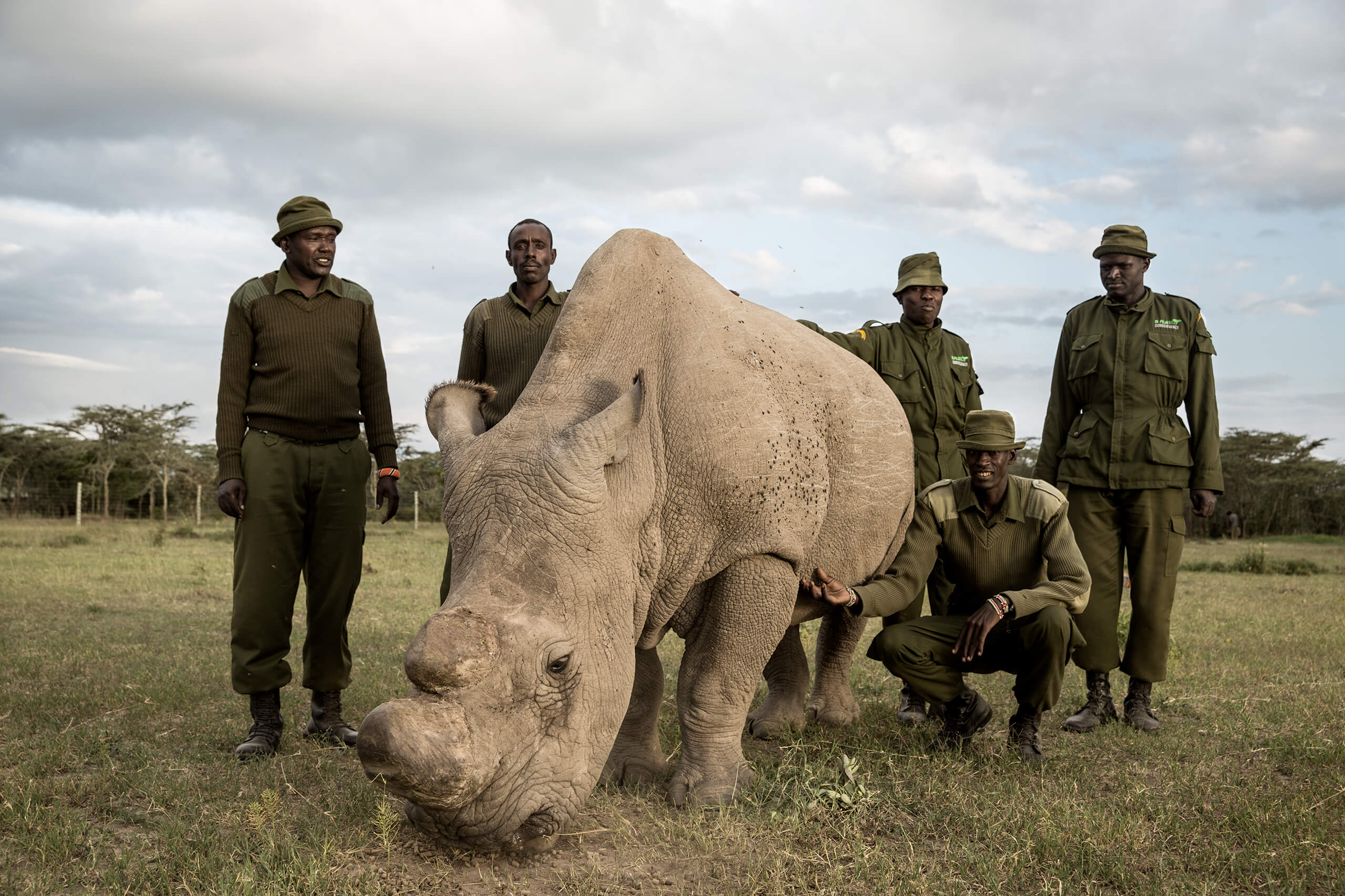 Sudan with Caretakers