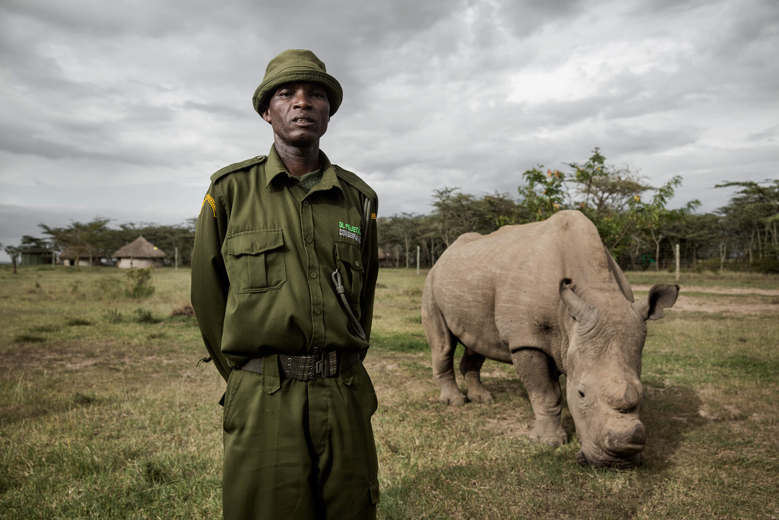 Sudan, the last male northern white rhino in the world, with one of his caretakers, Jacob Anampiu. Ol Pejeta Conservancy.