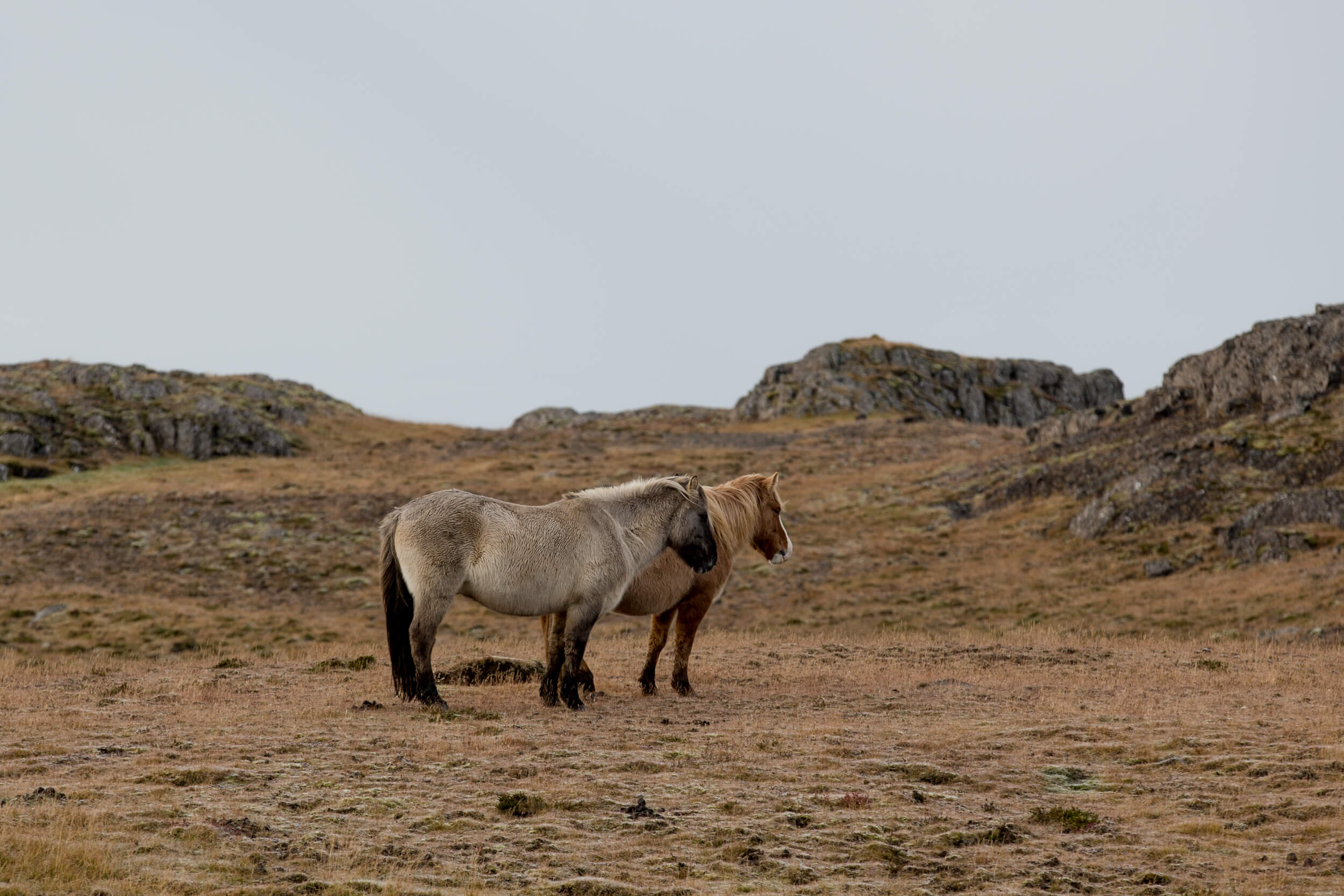 Iceland-148