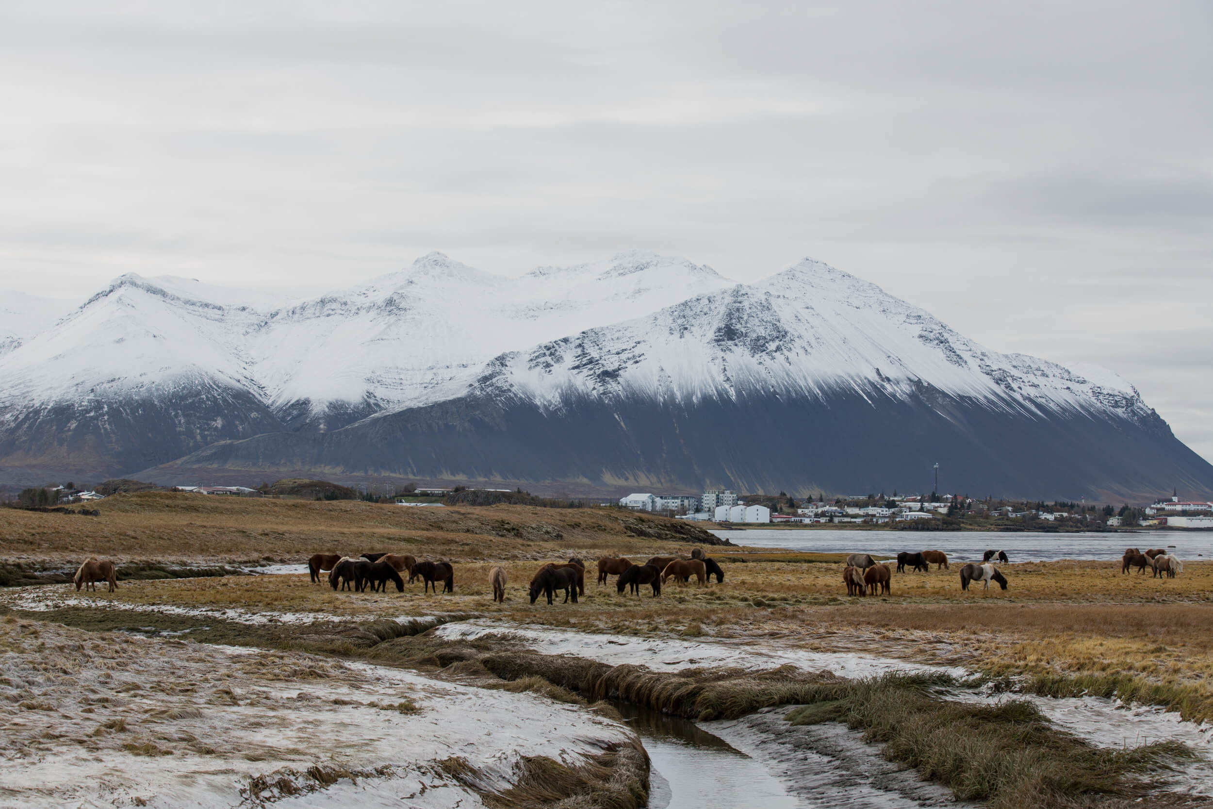 Iceland-149