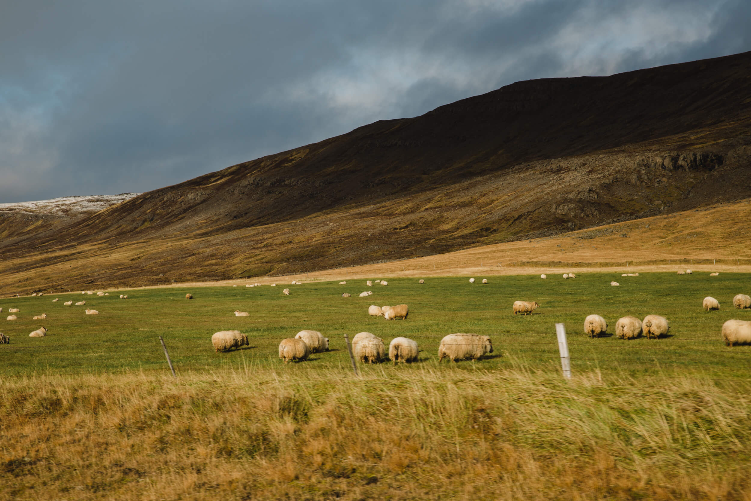 Iceland-194